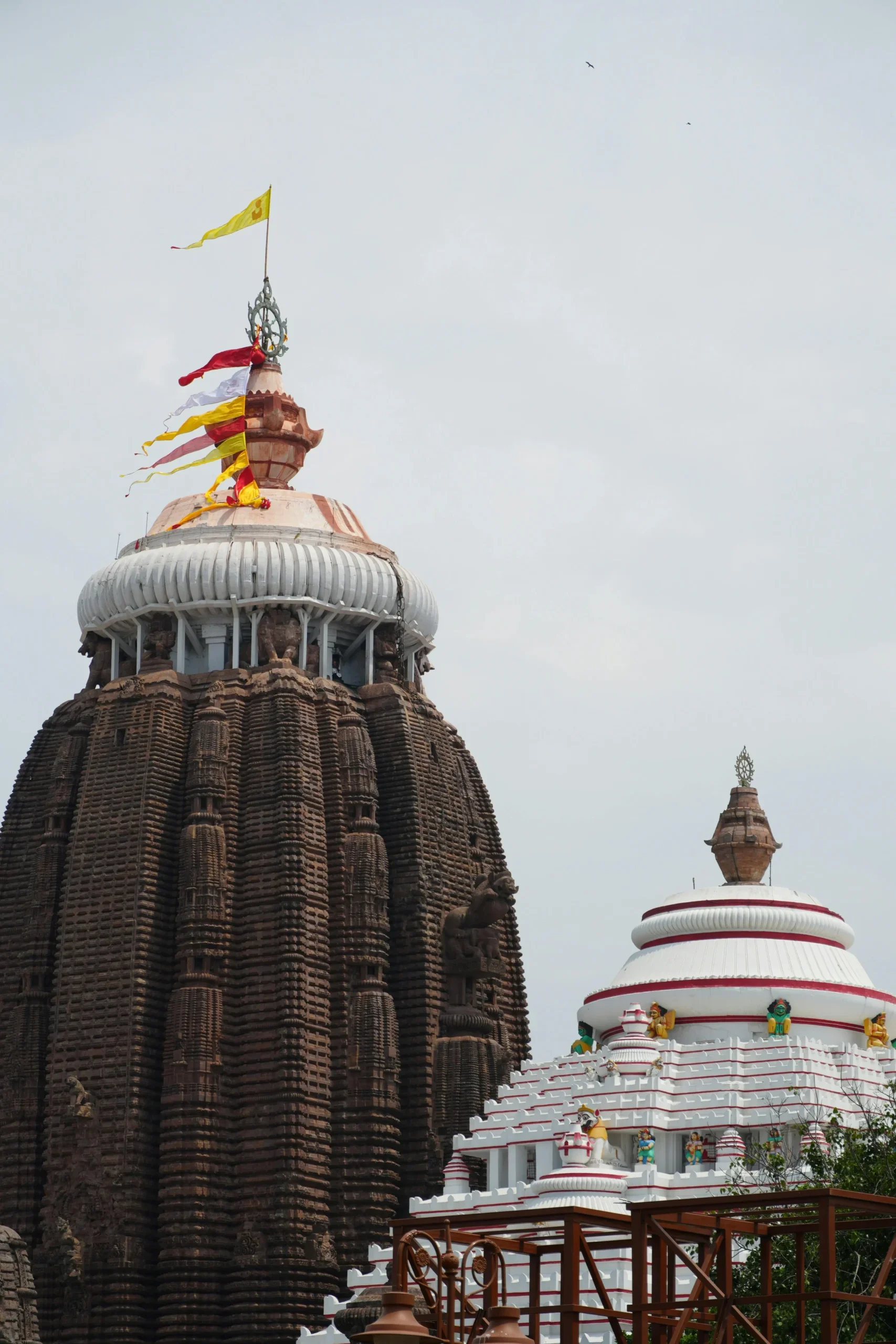Odisha Tour Packages