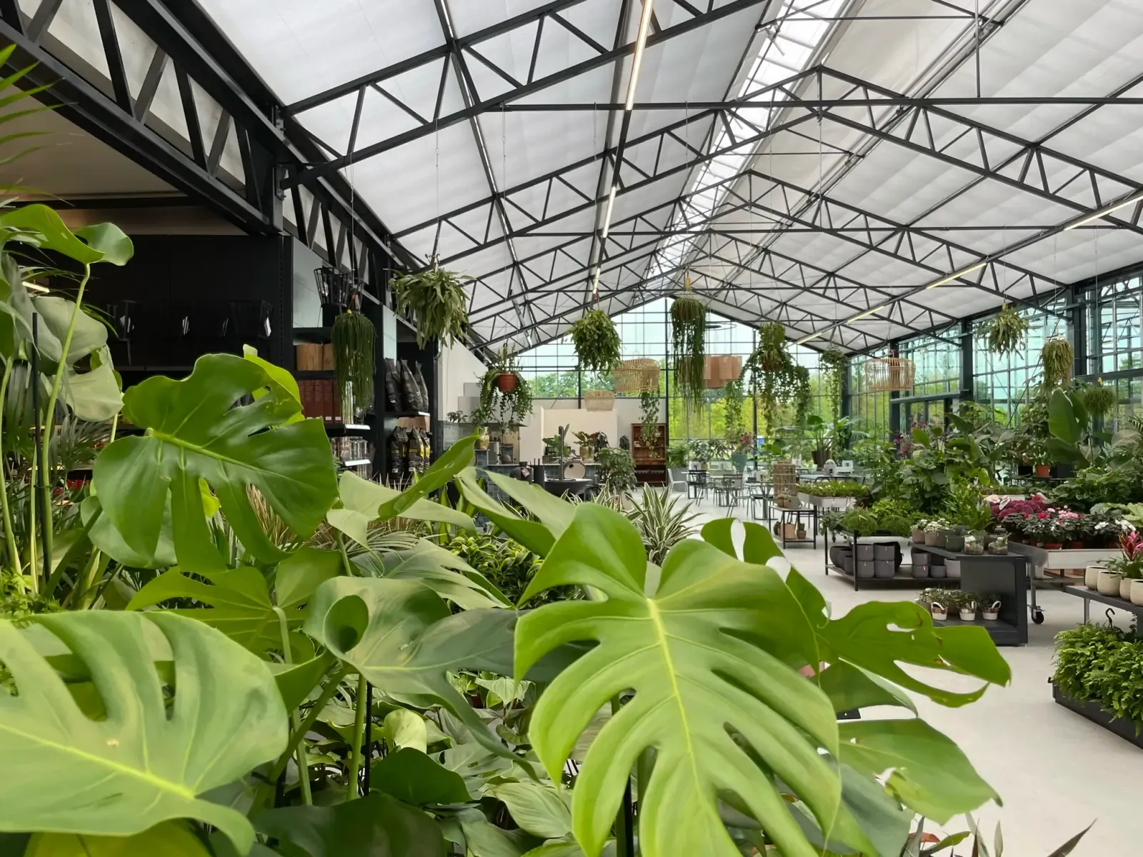Glasshouse Design