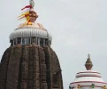 rectpost_image