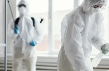 cmntop_image
