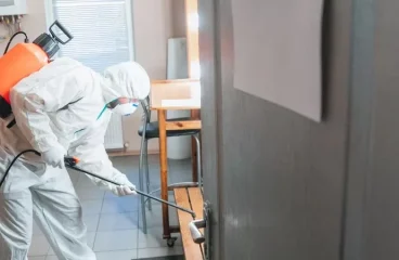 cmntop_image