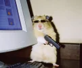 rectpost_image