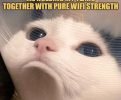 rectpost_image
