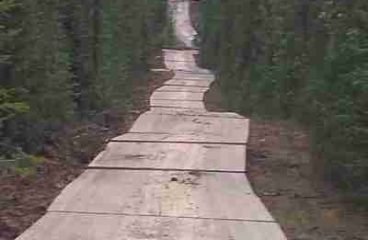cmntop_image