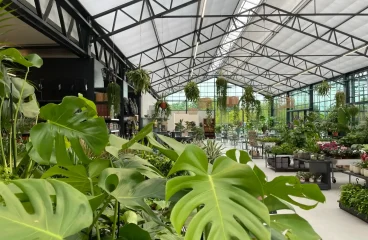 cmntop_image